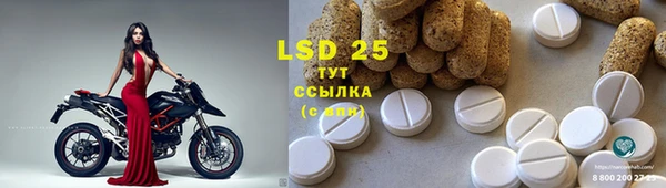 ешки Вяземский