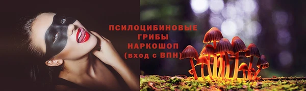 ешки Вяземский