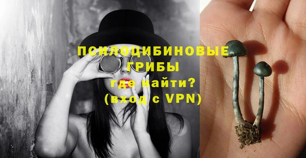 прущие крисы Вязники