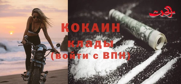 ешки Вяземский