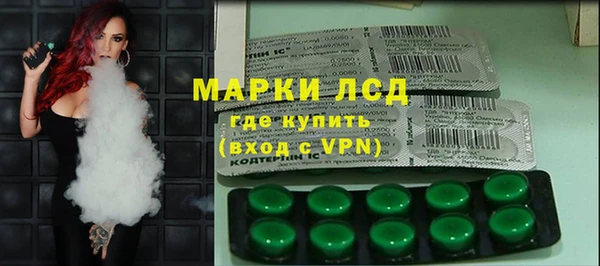 ешки Вяземский