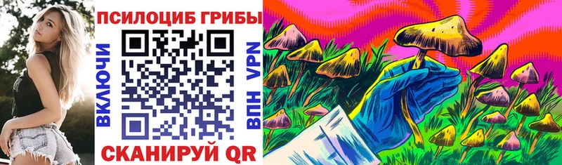 Купить закладки  Тавда  Псилоцибиновые грибы ЛСД 